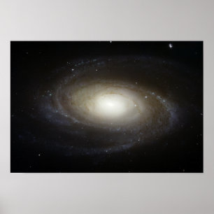 Pôster Galáxia Espiral M81