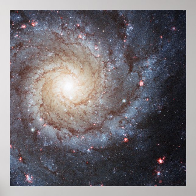 Poster Galáxia Espiral Messier 74 (M74) | NGC 628 | Hubbl (Frente)