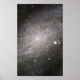 Poster Galáxia espiral NGC 300.