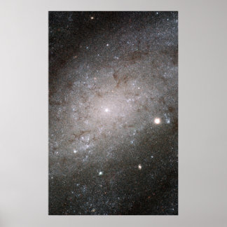 Poster Galáxia espiral NGC 300.