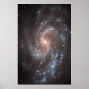 Poster Galáxia Espiral Ngc 5584