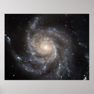 Pôster Galáxia M101