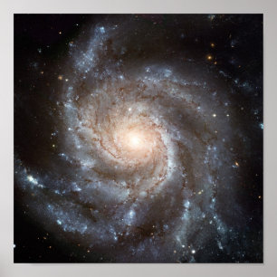 Pôster Galáxia M101
