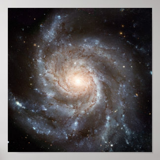 Pôster Galáxia M101