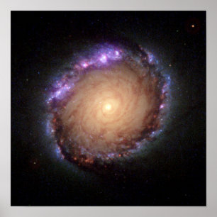 Pôster Galáxia NGC 1512