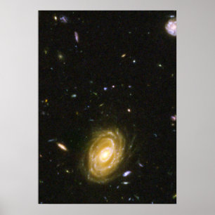 Pôster Galaxy HUDF-JD2 do Hubble Ultra Deep Field