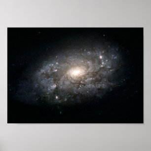 Poster Galaxy NGC 3949: Uma Galáxia Semelhante à Via Láte