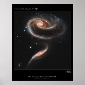 Pôster Galaxy Rose