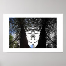 Galeria de Fotografias de Reflexão de Yosemite com