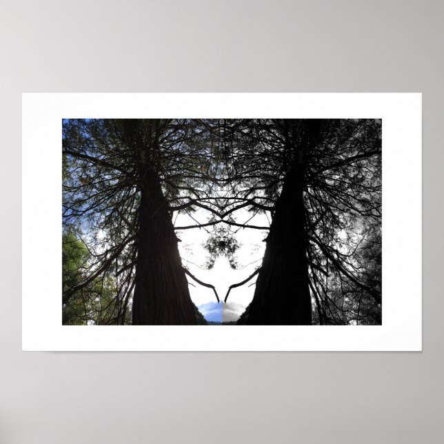 Poster Galeria de Fotografias de Reflexão de Yosemite com (Frente)