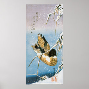 Poster Galeria de Nadação de Pato Selvagem de Neve em C