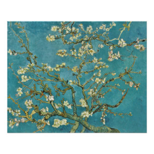 Pôster Galeria Vincent van Gogh Almond BlossomHD
