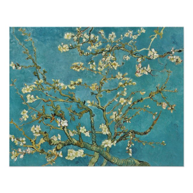Pôster Galeria Vincent van Gogh Almond BlossomHD (Frente)