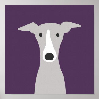Poster Galgo Grego, Galgo Grego italiano ou Cão Beijo