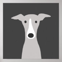 Galgo Grego, Galgo Grego italiano ou Cão Beijo