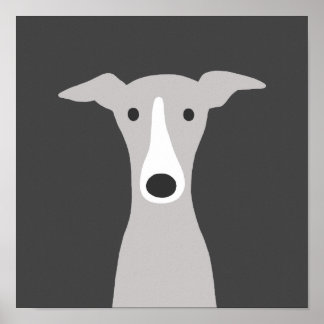Poster Galgo Grego, Galgo Grego italiano ou Cão Beijo