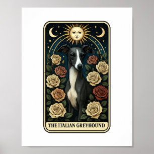 Poster Galgo Italiano