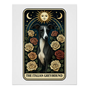 Pôster Galgo Italiano