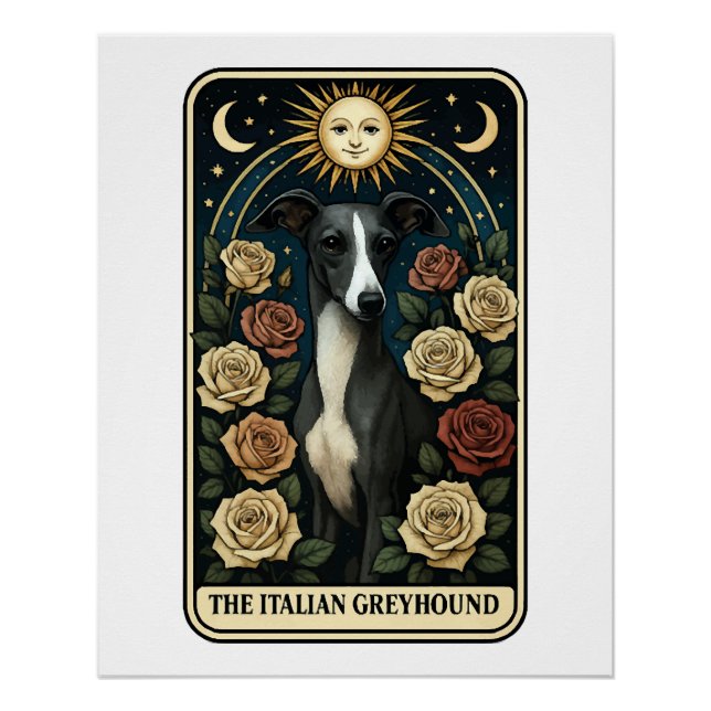 Pôster Galgo Italiano (Frente)