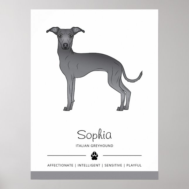 Poster Galgo Italiano Azul Fofo Com Texto Personalizado (Frente)