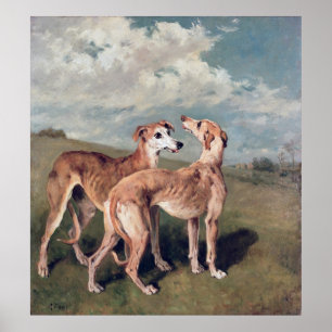 Poster Galgos