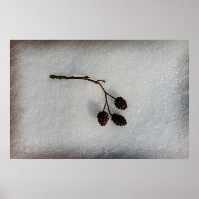 Poster galho caído (Frente)