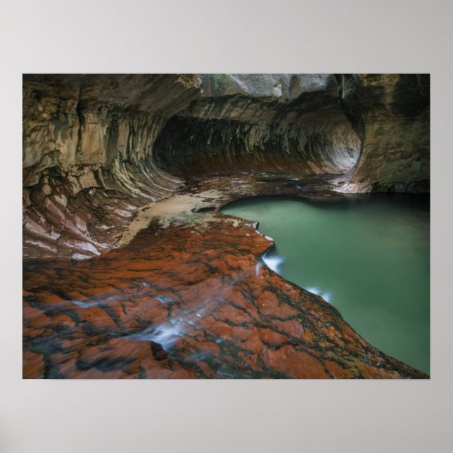Poster Galho Esquerdo | Parque Nacional de Zion, Utah (Frente)