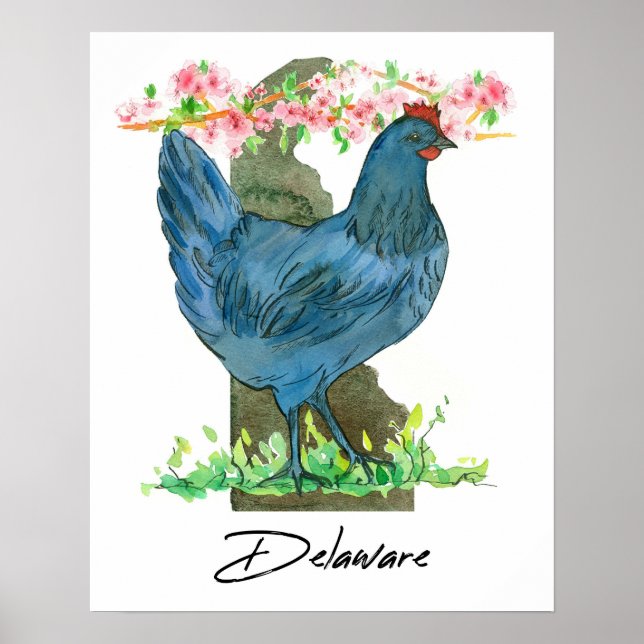 Poster Galinha Blue Hen Forma do Estado de Delaware (Frente)