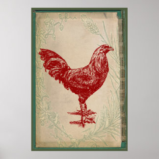 Poster Galinha Chique Grunge do Vintage Red Rooster