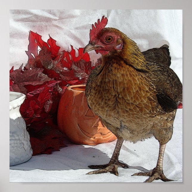 Pôster Galinha de Queda (Frente)