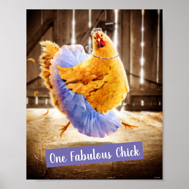 Poster Galinha em um Tutu (Frente)