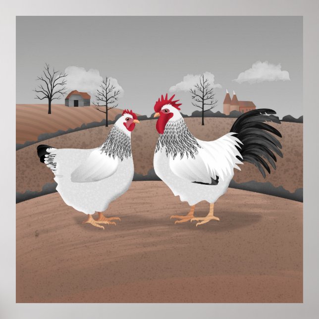 Poster Galinha & Galo (Frente)