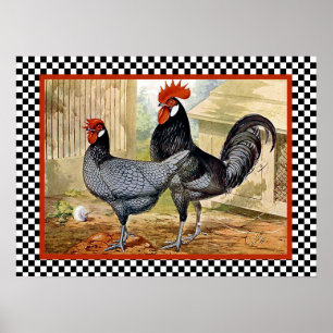 Poster Galinhas andaluzas na fazenda