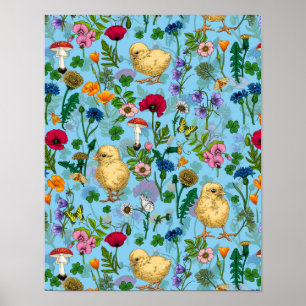 Poster Galinhas e flores silvestres em azul-bebê