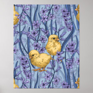 Poster Galinhas e jacintos em azul-céu