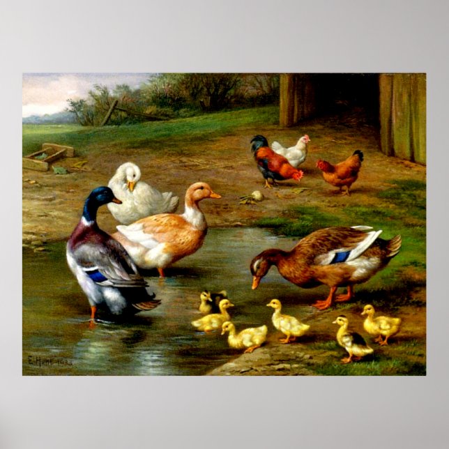 Poster Galinhas, Patos E Patos Na Fazenda (Frente)