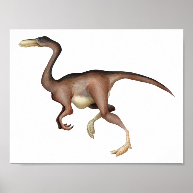 Poster Gallimimus (Frente)