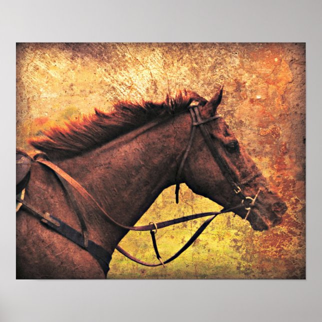 Pôster Gallop Afway (Frente)