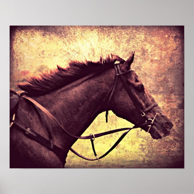 Pôster Gallop Grunge (Frente)