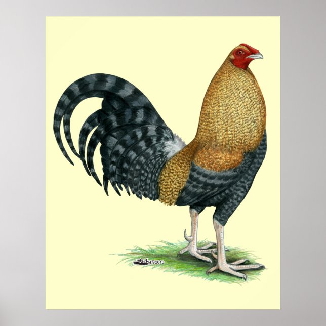 Pôster Galo de briga: Dom ou Crele (Frente)