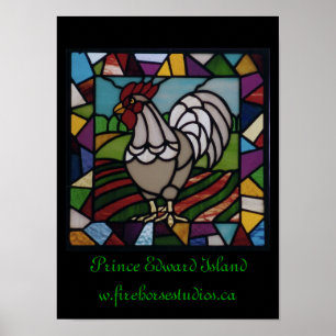 Pôster Galo de P.E.I