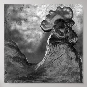 Pôster Galo de Vidro