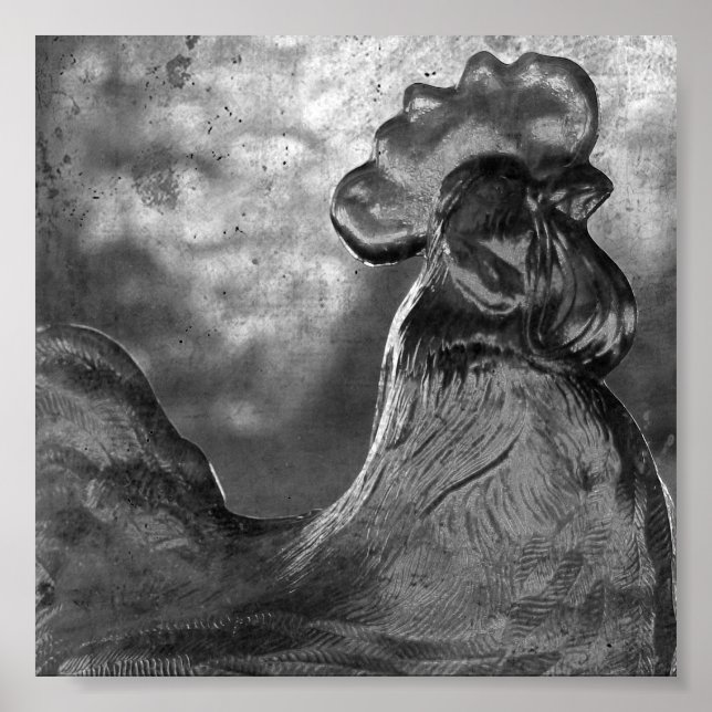 Pôster Galo de Vidro (Frente)