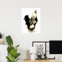Galo Frango Fazenda Ave Preto Branco Aquarela
