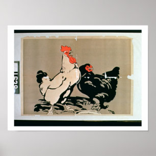 Poster Galo novo e galinha (litho da cor)