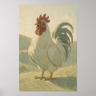 Poster Galo Pálido em uma Paisagem Tranquila de Fazenda