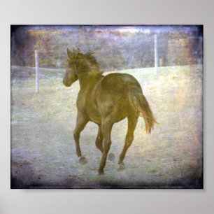 Poster Galope afastado, Jack