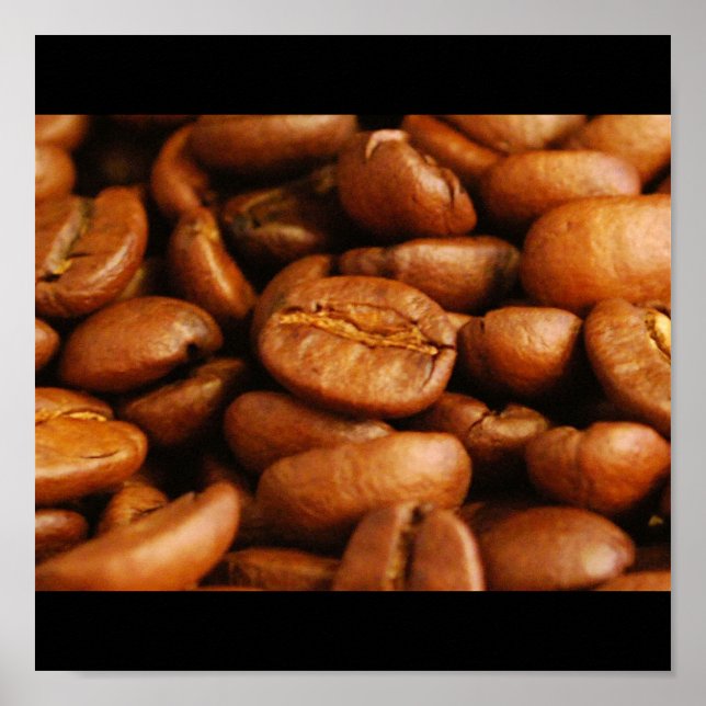 Pôster Galore de Beans (Frente)