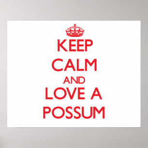 Pôster Gambá