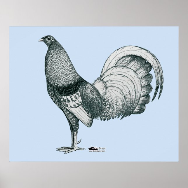 Poster Gamecock Crele ou Dom (Frente)